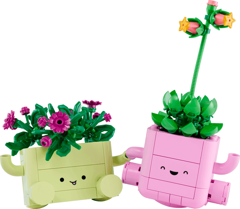 Two built LEGO Botanicals plants in pastel pots with smiling faces and curved arms: a pale green pot of pink flowers and a pale pink pot holding a green succulent with a tall flowering stem.